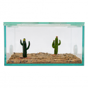 Preview: Decorative cacti set 5 pcs.